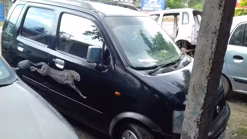 Maruti Garage