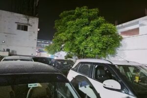 NEXA (AIE Cars, Paranur, JCK Nagar)