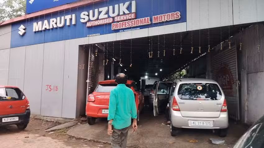 Professional Motors (ISO 9001-2015 Certified)