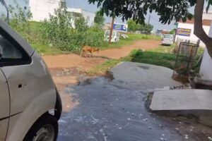 Raju Maruti Workshop