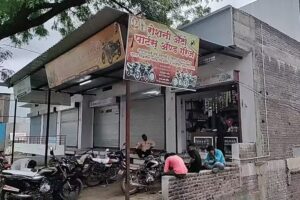 Roshni Auto Parts And Garage