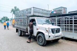 Salim Cage Making (chiken cage)[Murgi jali]