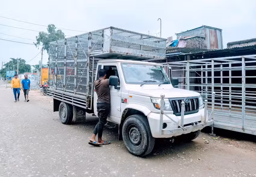 Salim Cage Making (chiken cage)[Murgi jali]