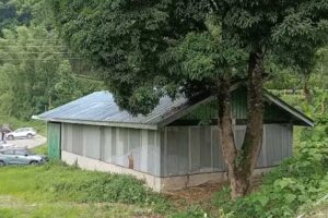 SIKKIM TATA MOTORS REPAIR SHOP