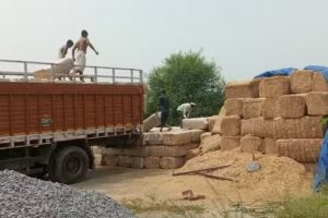 Suraj Diesel sarvice