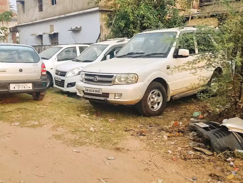 Tulsi car care