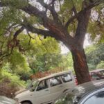 ZAS AUTOMOTIVES (car mechanic)