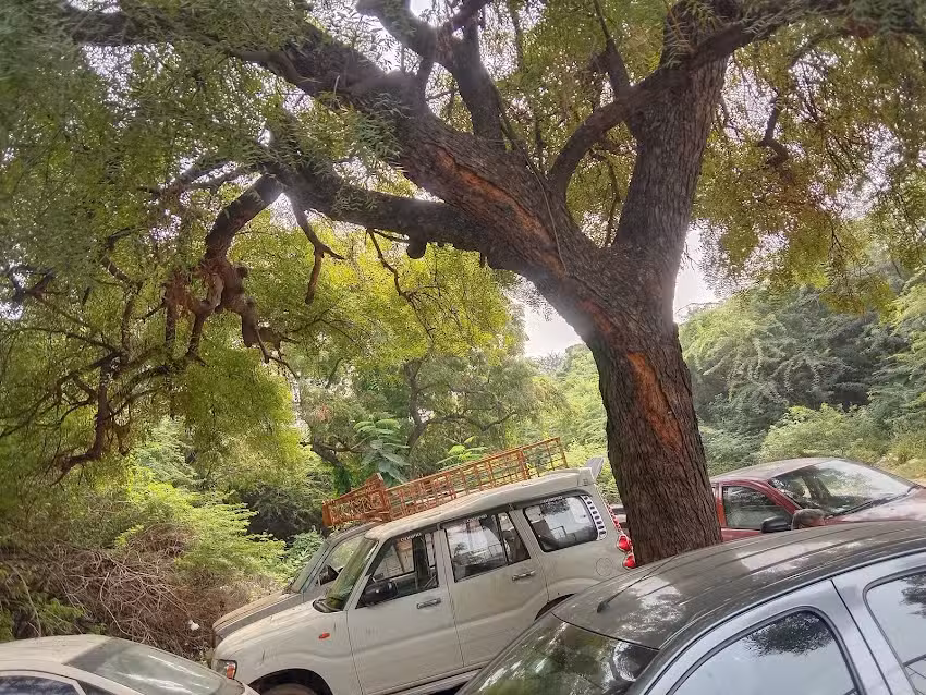 ZAS AUTOMOTIVES (car mechanic)